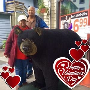 Meet your Posher, Lois